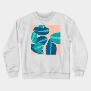 prayer plant Crewneck Sweatshirt